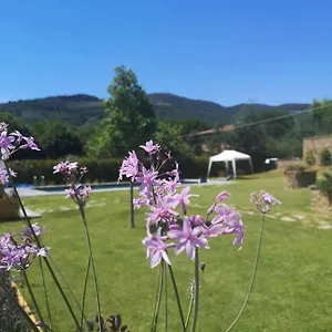Alba Morus Sentiti A Casa Nel Cuo Frühstückspension Arezzo